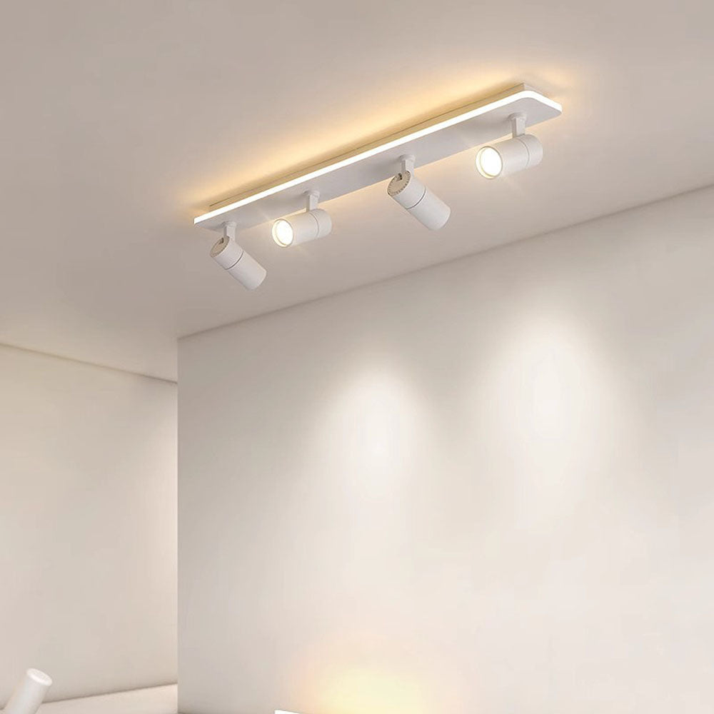 Triccon Ceiling Light