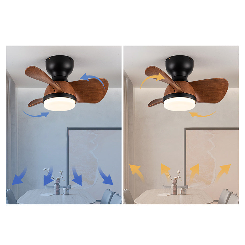 Zareni LED Ceiling Fan