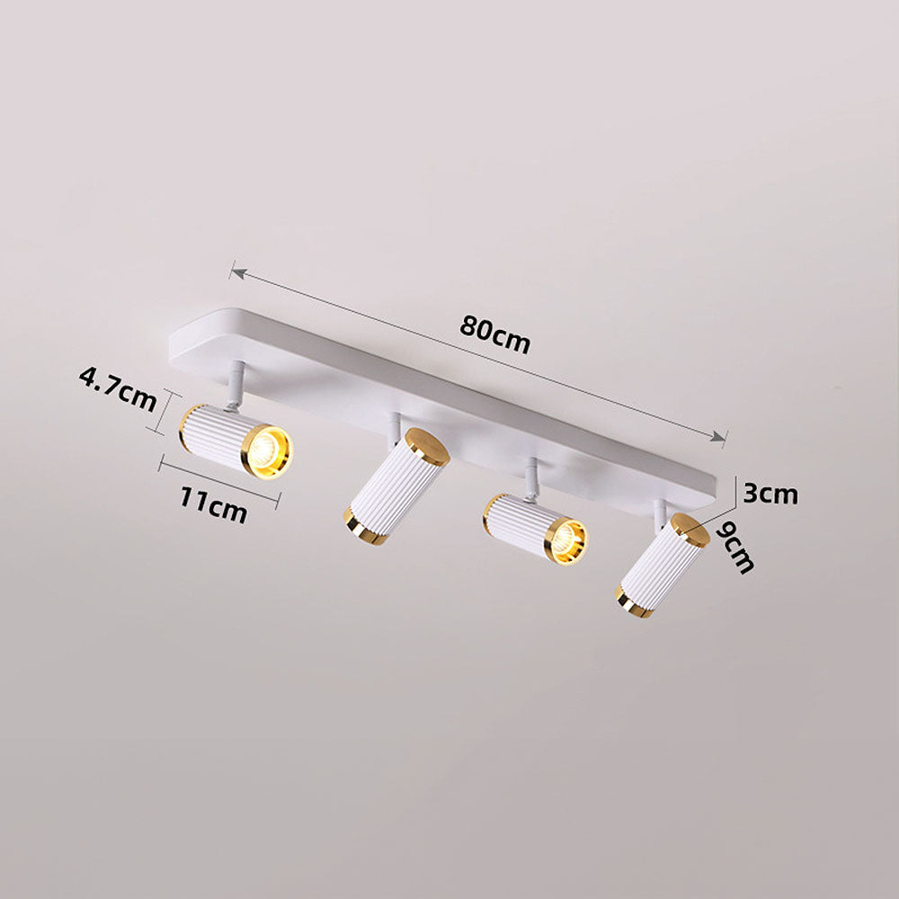 Celzilo Ceiling Light