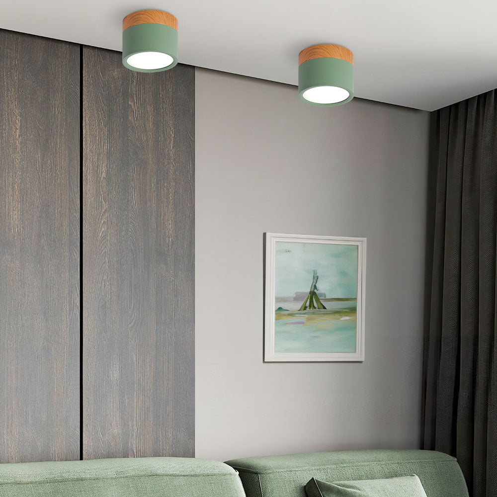 Cylinder Small Ceiling Light