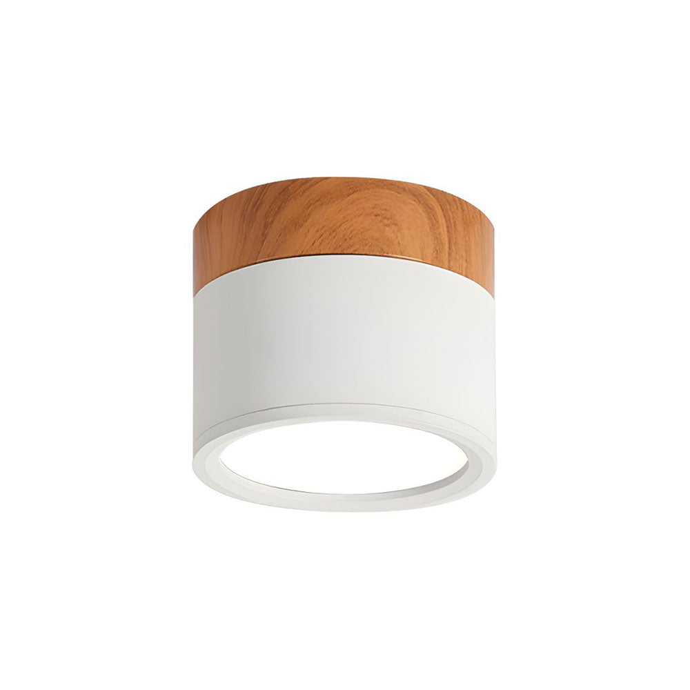 Cylinder Small Ceiling Light