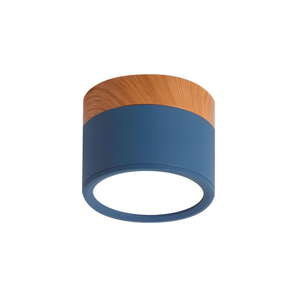 Cylinder Small Ceiling Light