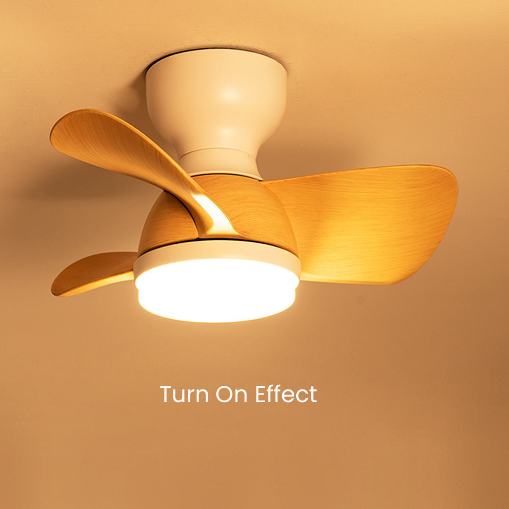 Zareni LED Ceiling Fan