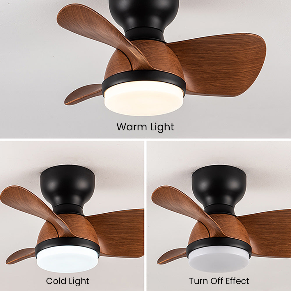 Zareni LED Ceiling Fan