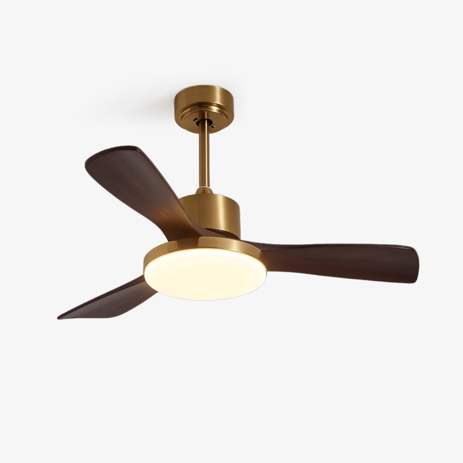 Dorelma LED Ceiling Fan