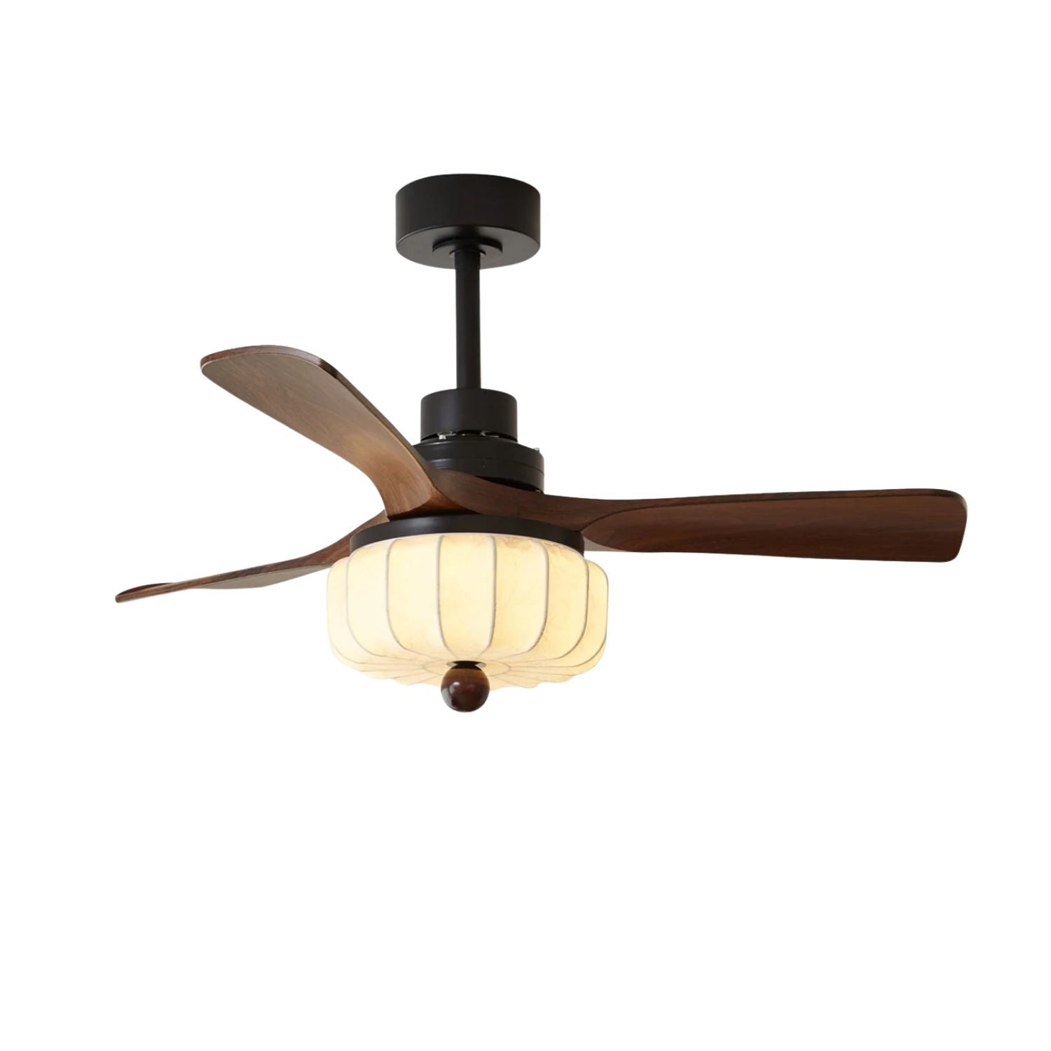Eloma Ceiling Fan