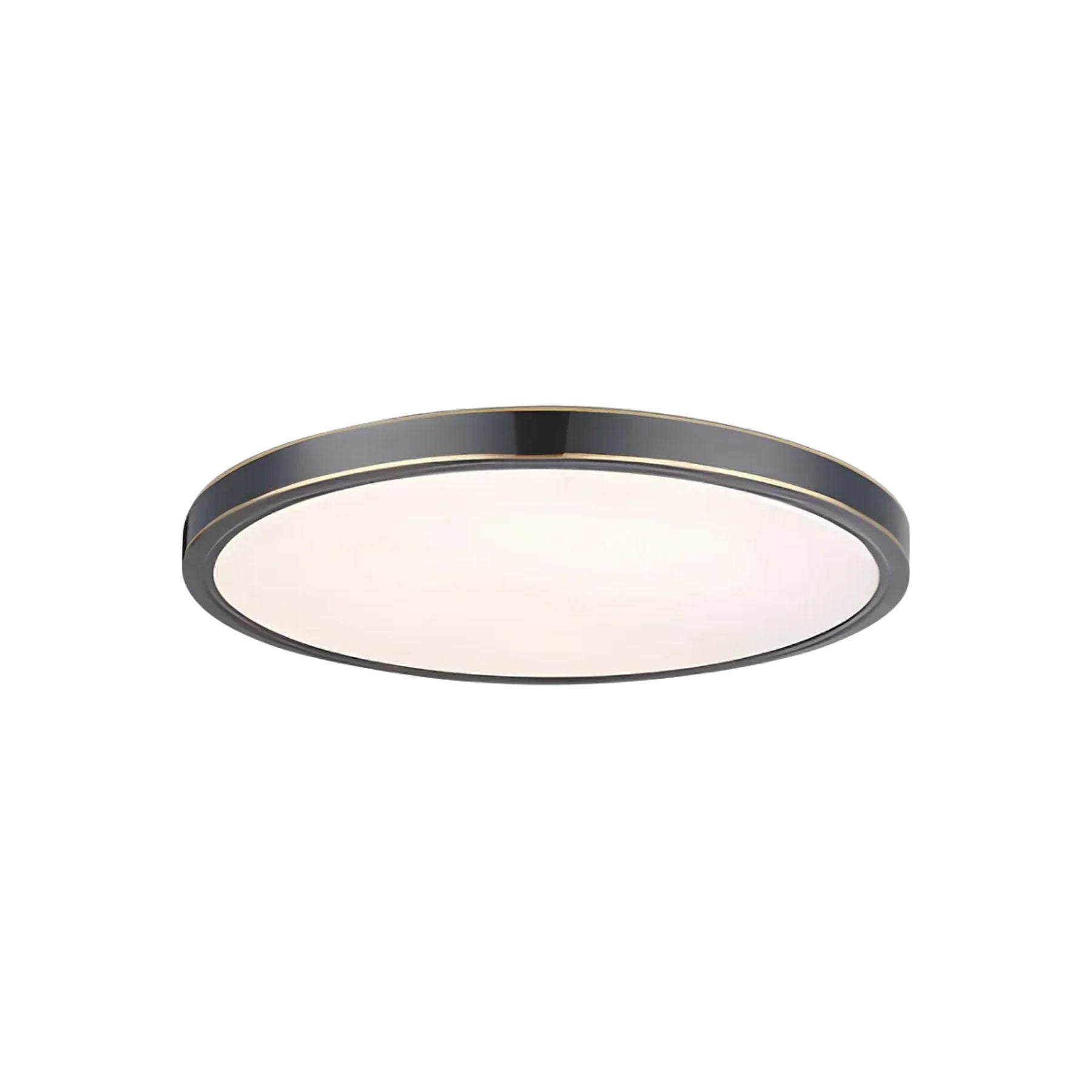 Disculon Ceiling Light