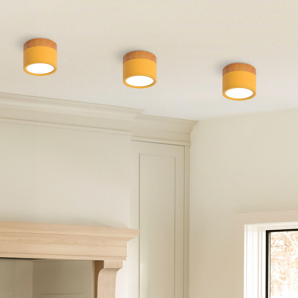 Cylinder Small Ceiling Light