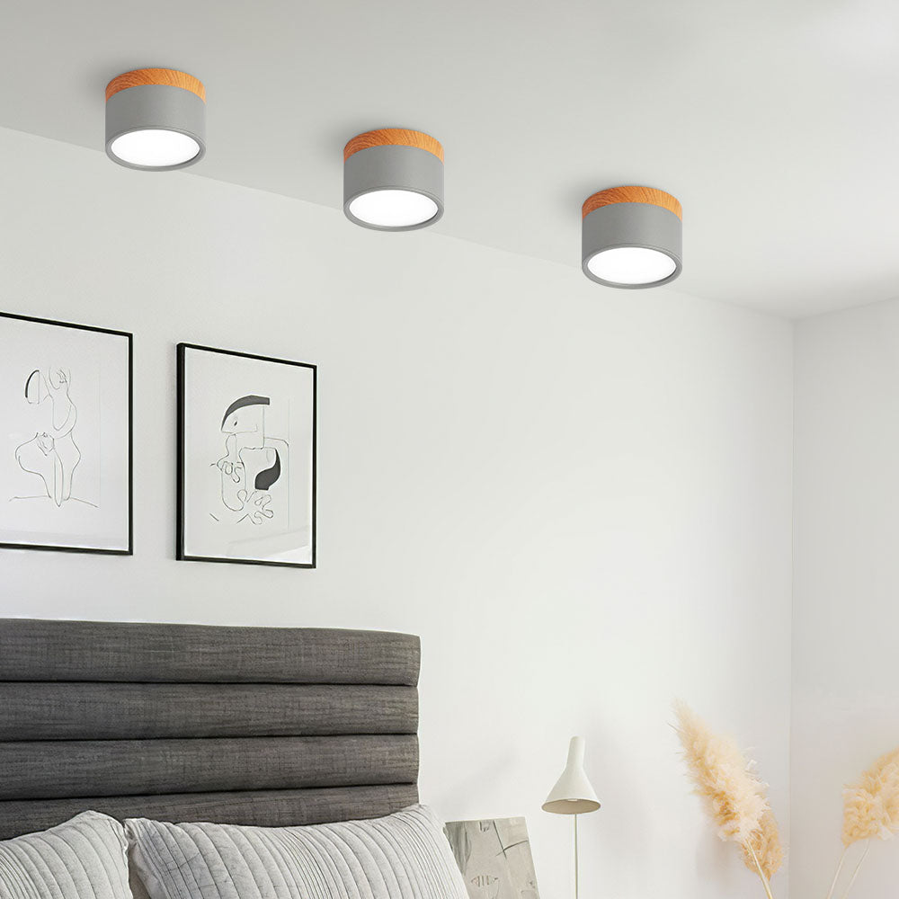Cylinder Small Ceiling Light