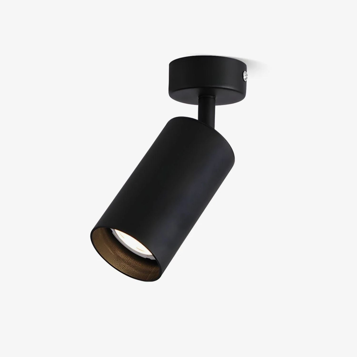 Alzo Spotlight Ceiling Light