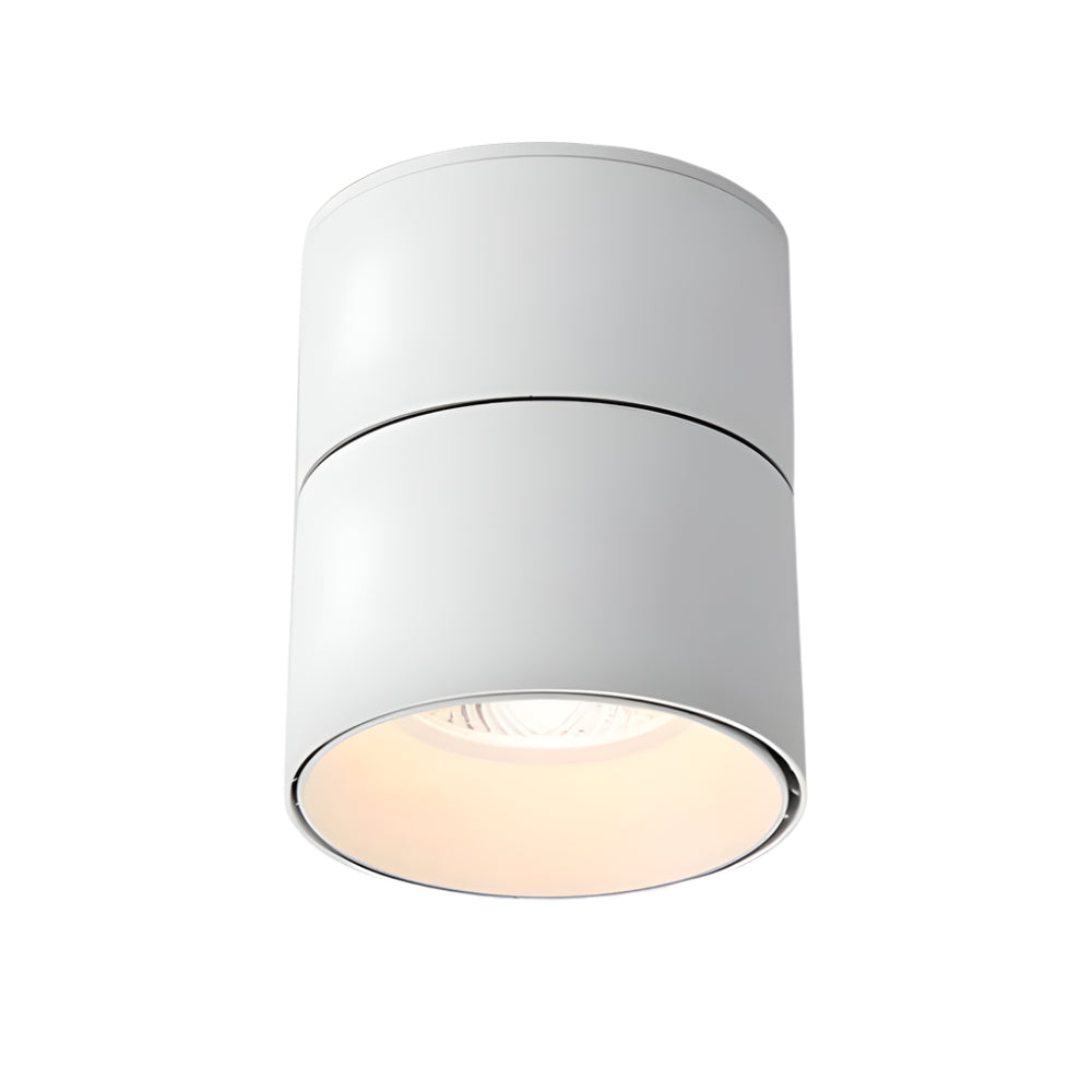 Velori Ceiling Light