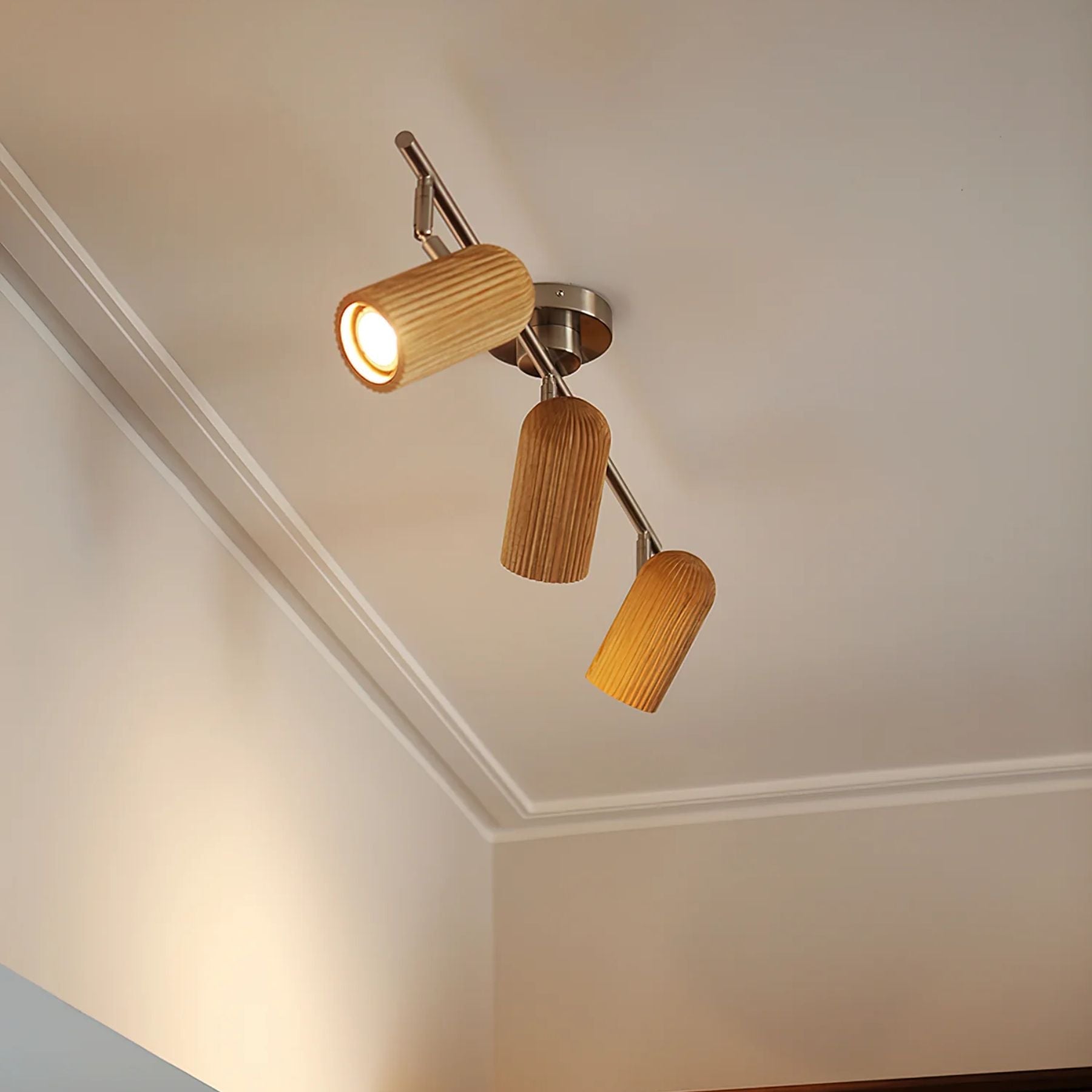 Trevizo Ceiling Light