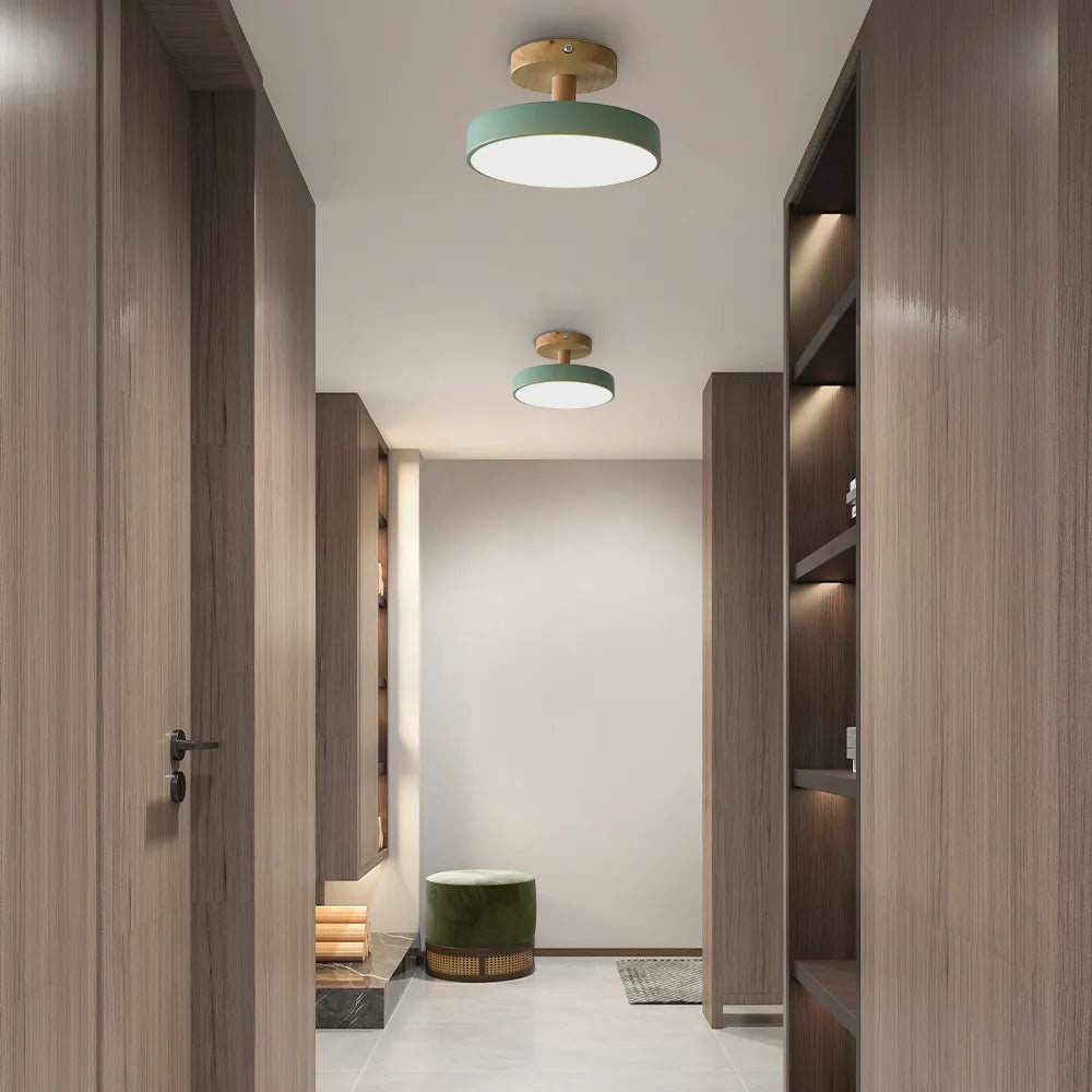 Pedol Ceiling Light