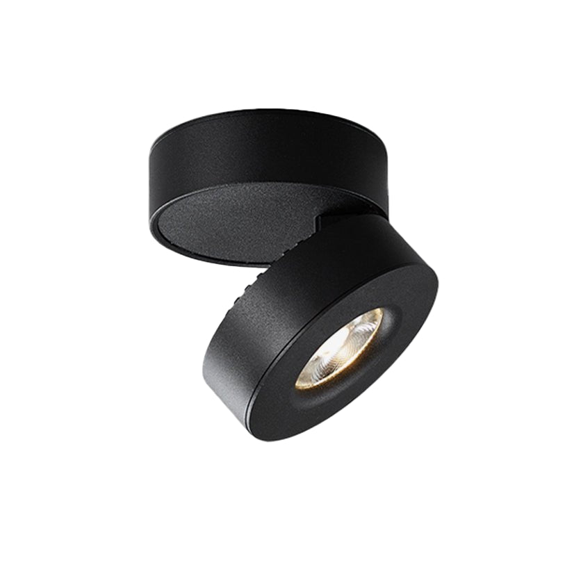 Lymza Spotlight Ceiling Light