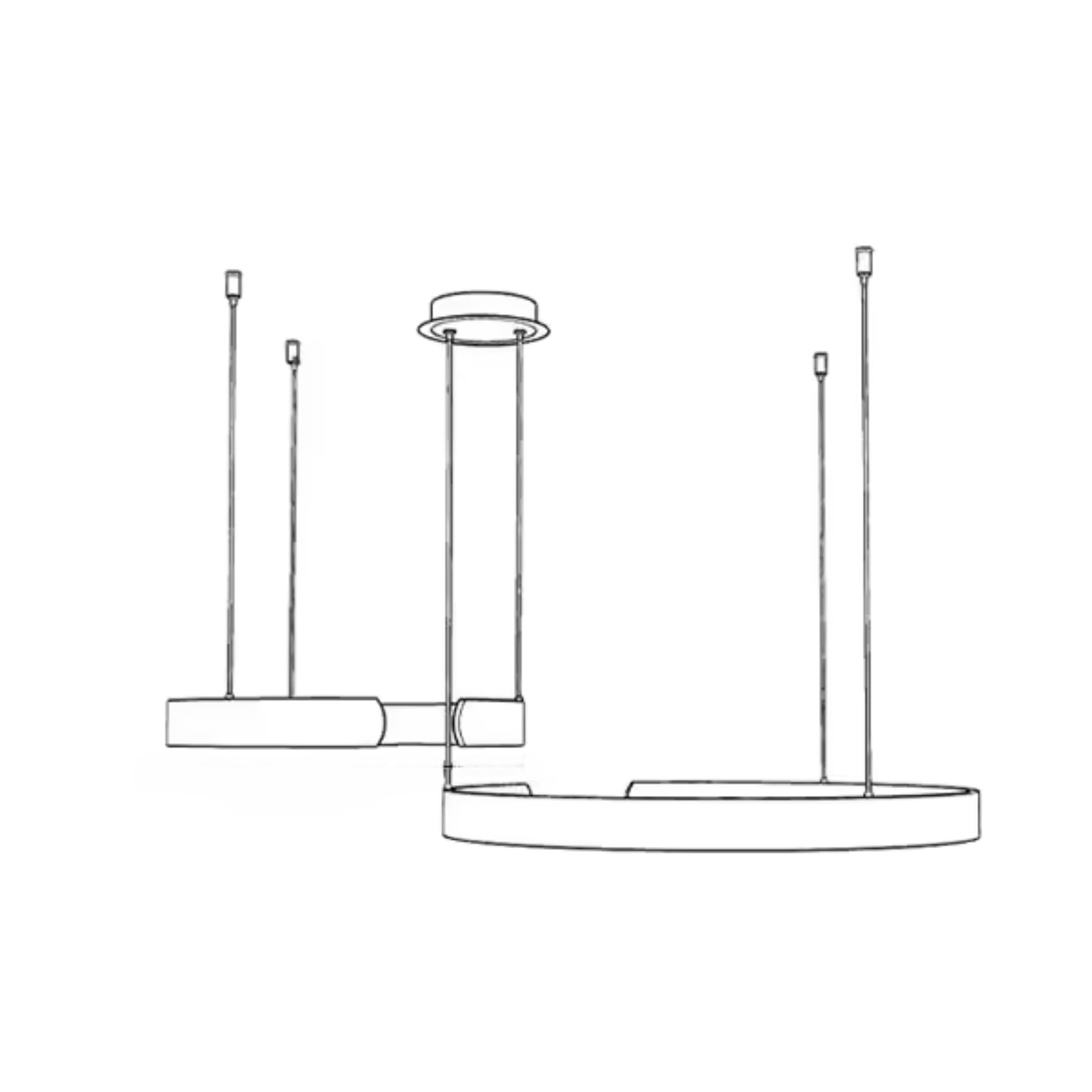 Aurum Circle Pendant Light