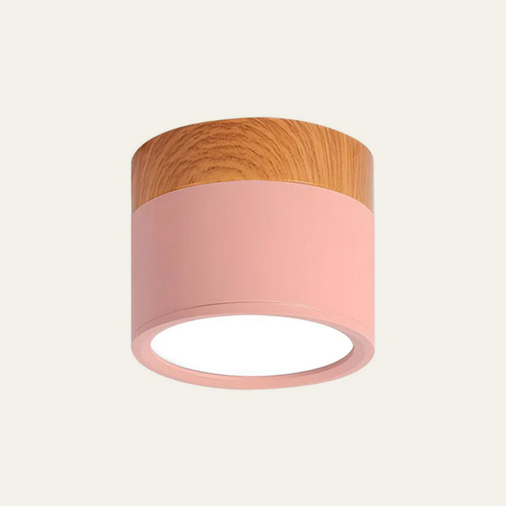 Cylinder Small Ceiling Light