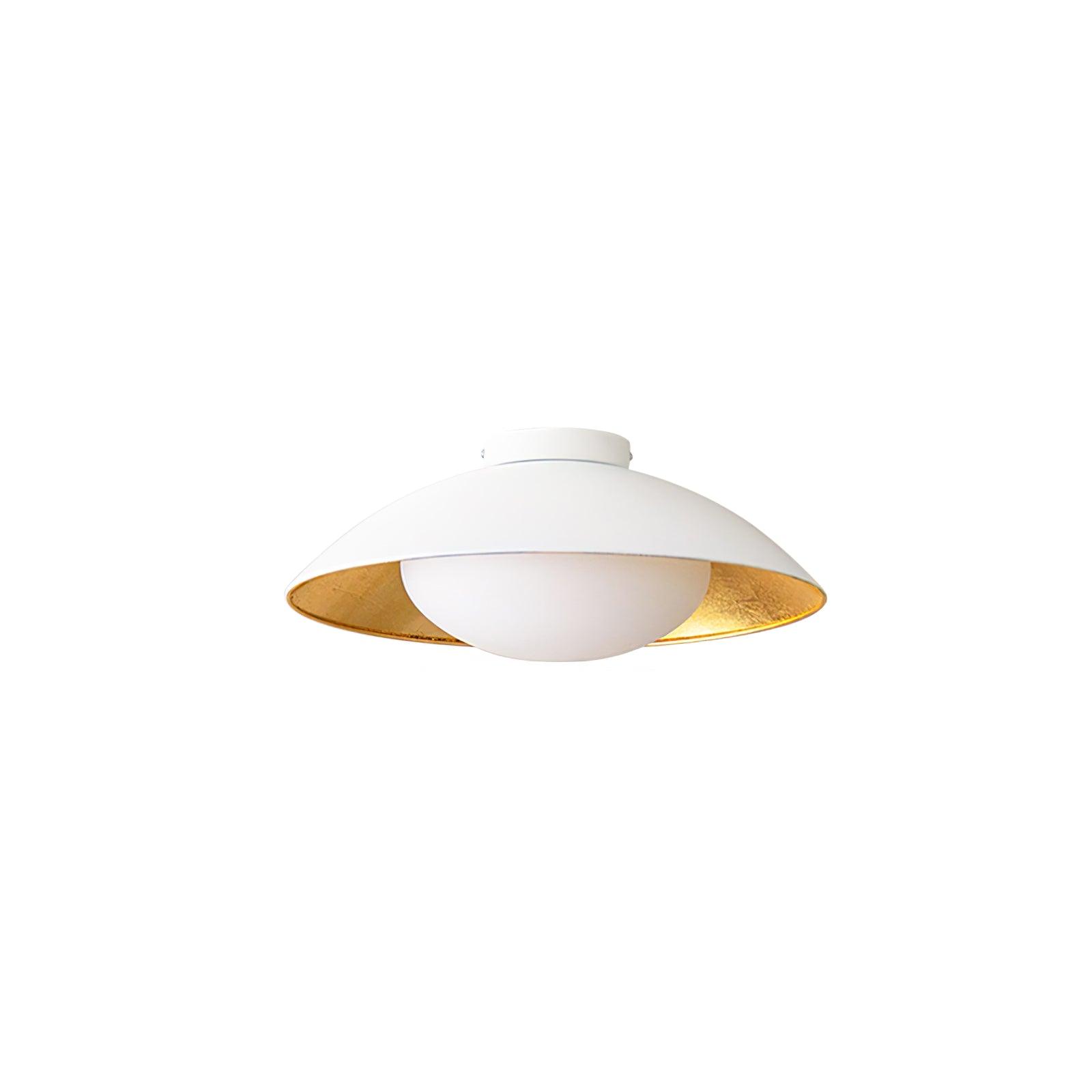 Adrienne Ceiling Light (NAAM DUBBEL VAK)