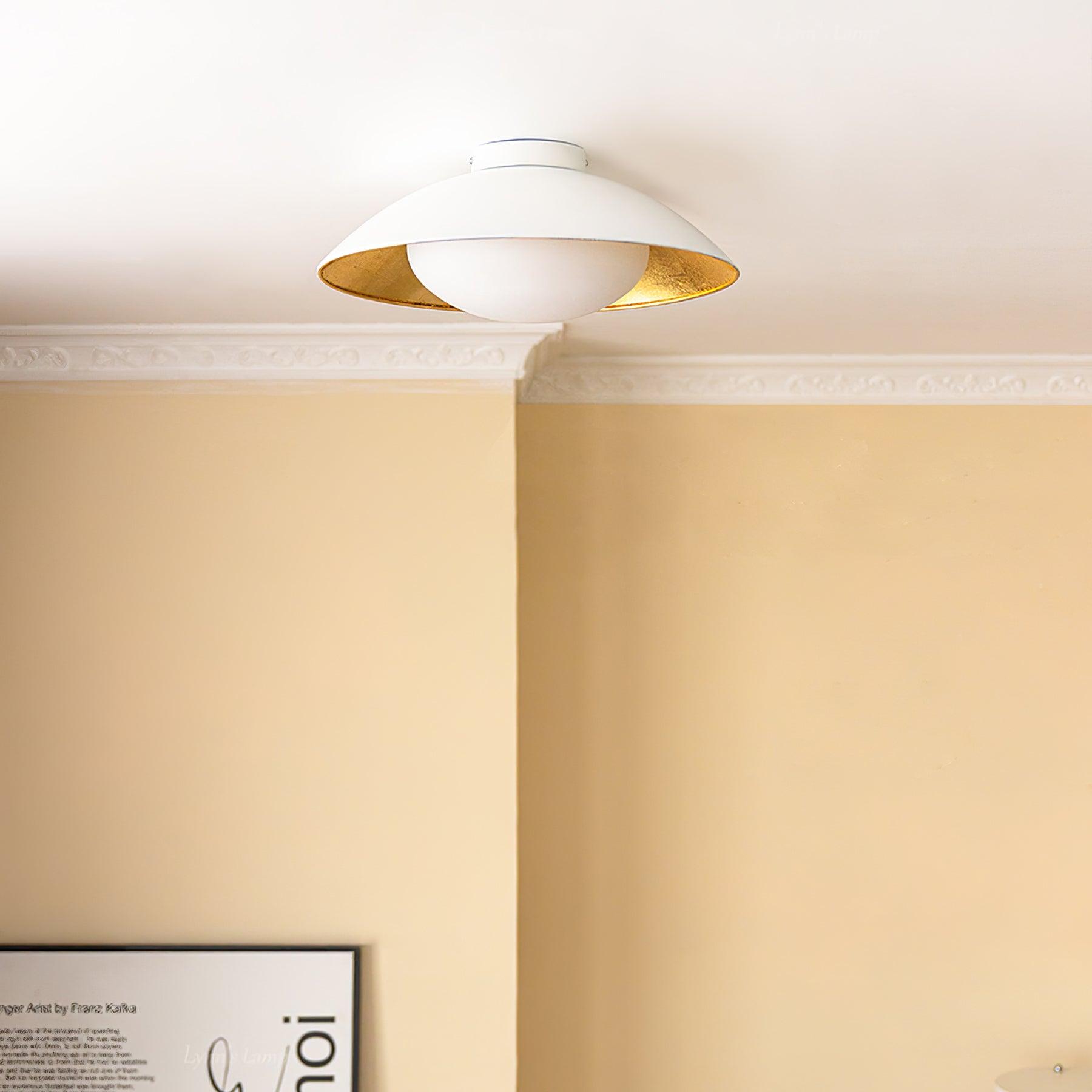 Adrienne Ceiling Light (NAAM DUBBEL VAK)