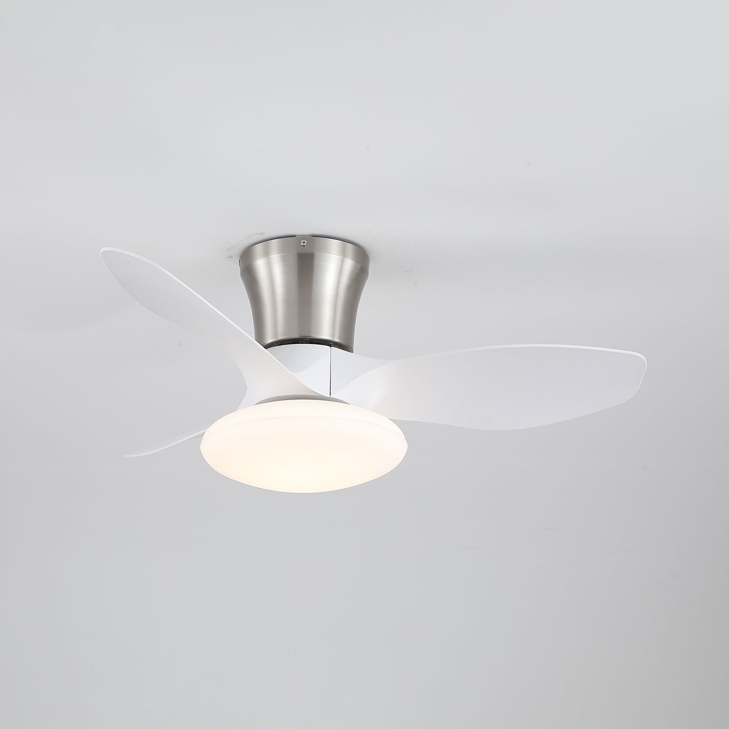 Jomer Ceiling Fan