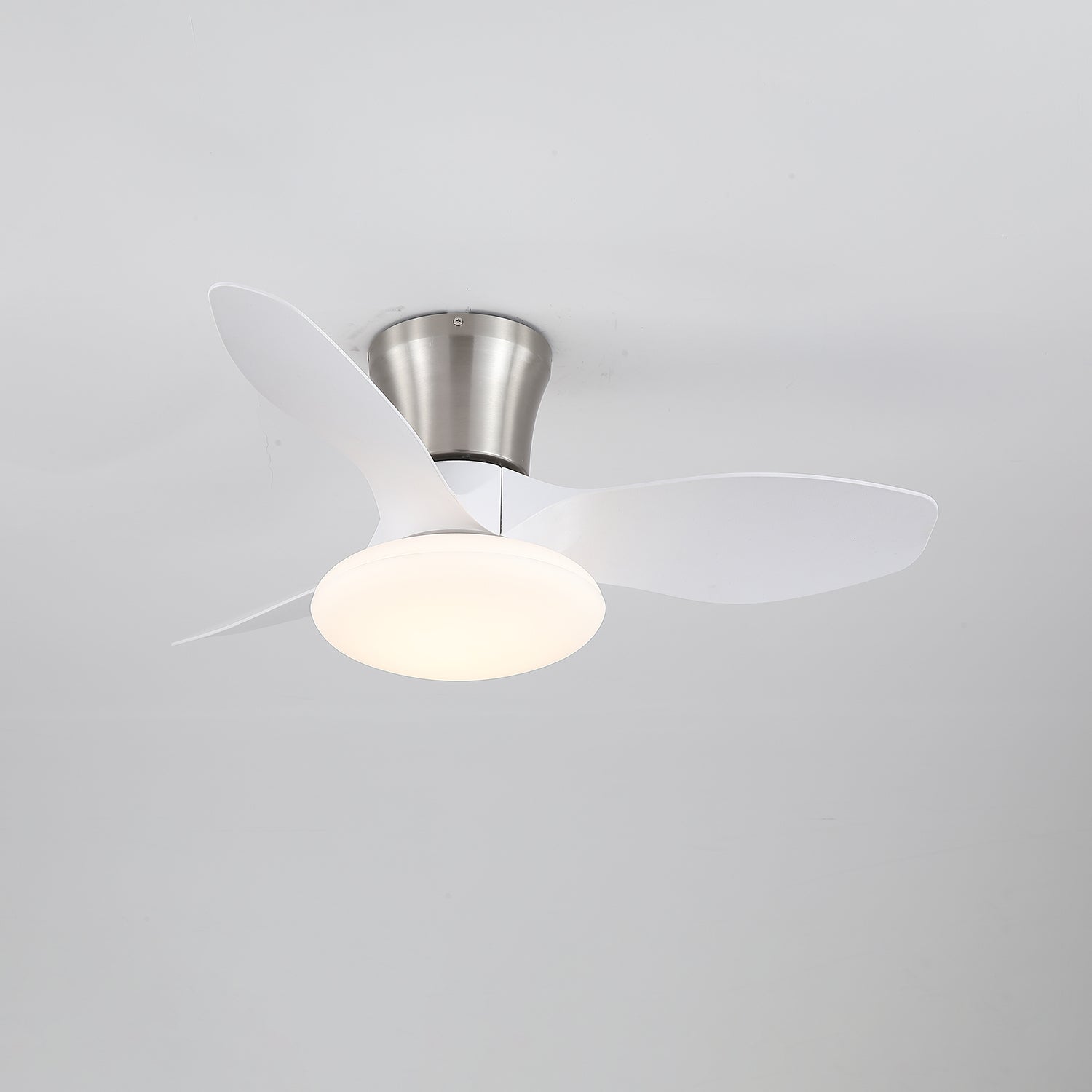 Jomer Ceiling Fan