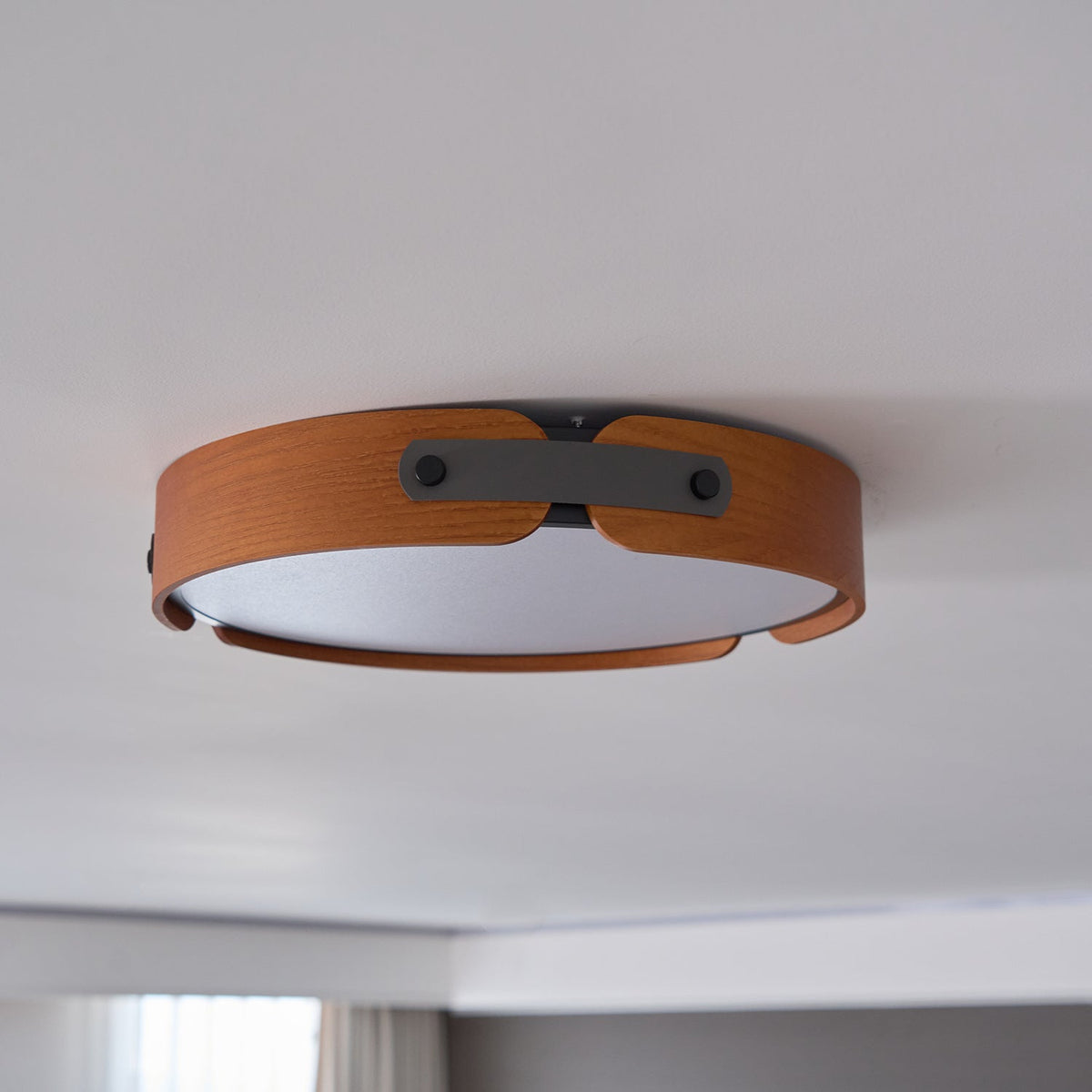 Bomildel Outdoor Ceiling Light