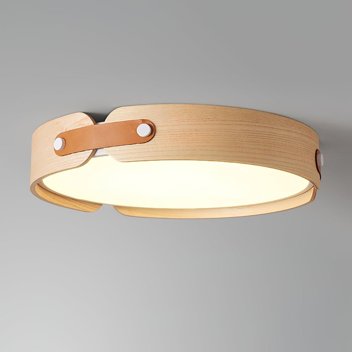 Bomildel Outdoor Ceiling Light