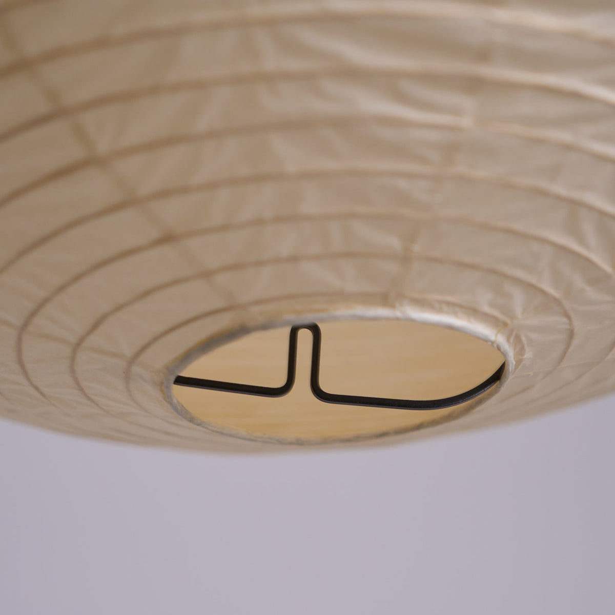Dituli Globe Pendant Light