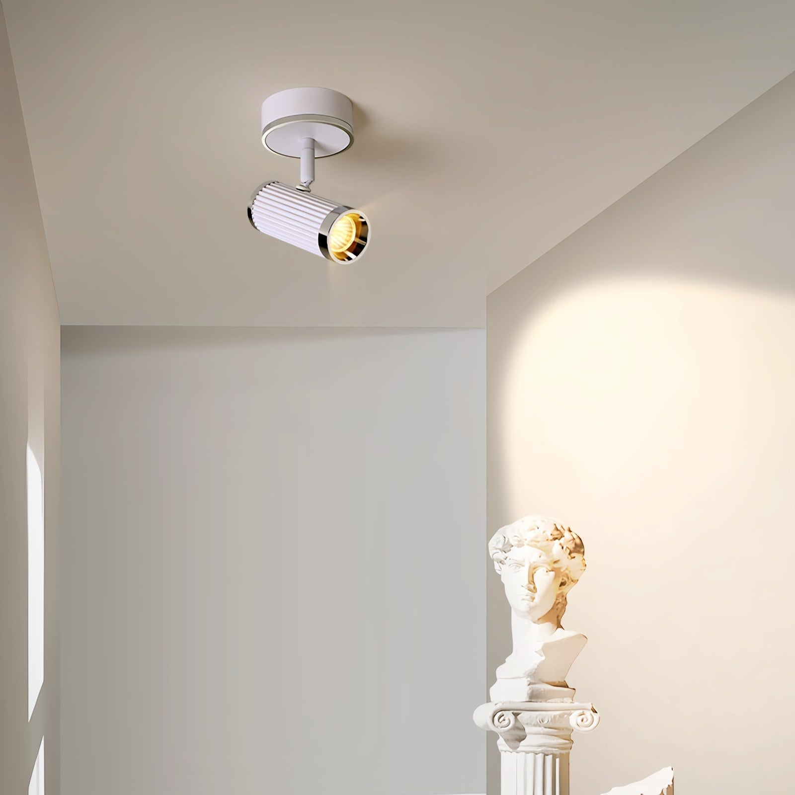 Junivo Ceiling Light