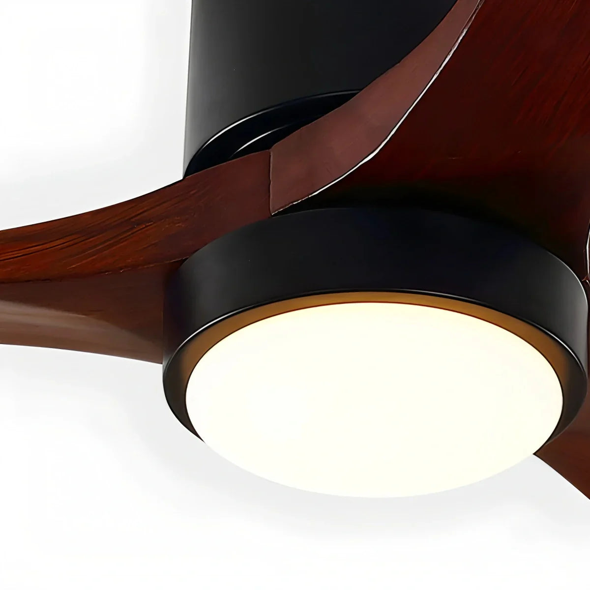 Sorello Ceiling Fan