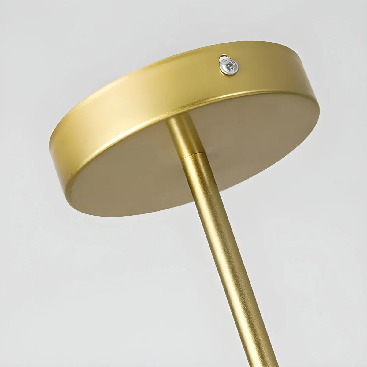 Floyizo Ceiling Light