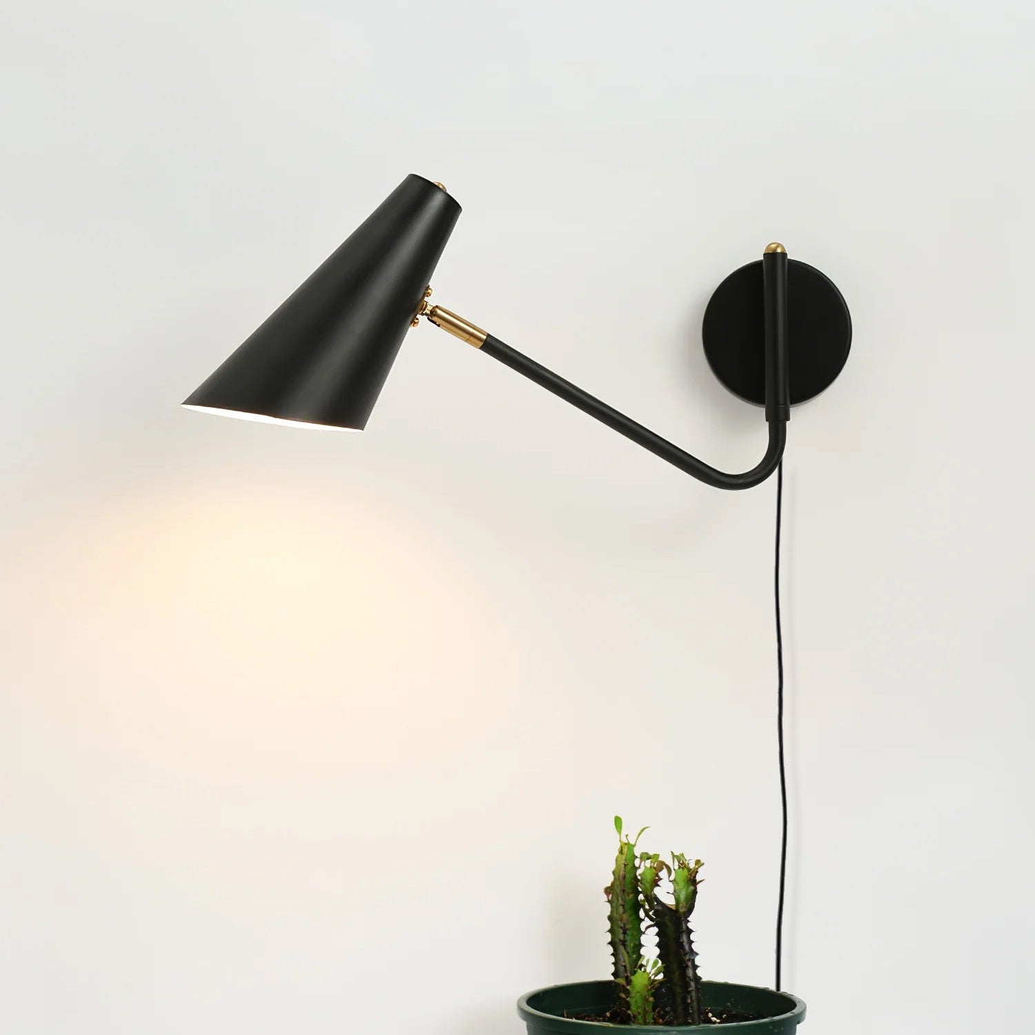 Arex Wall Light With Plug