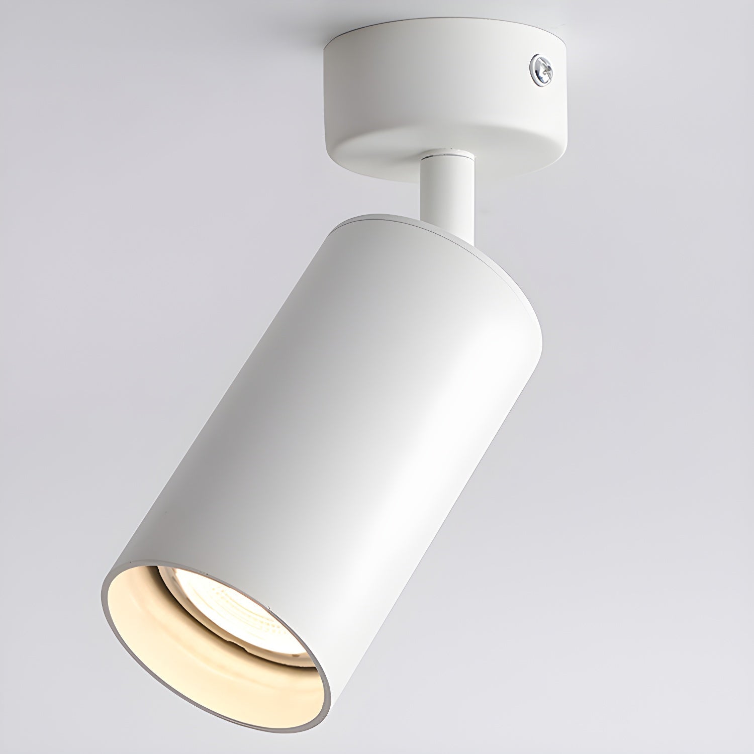 Alzo Spotlight Ceiling Light