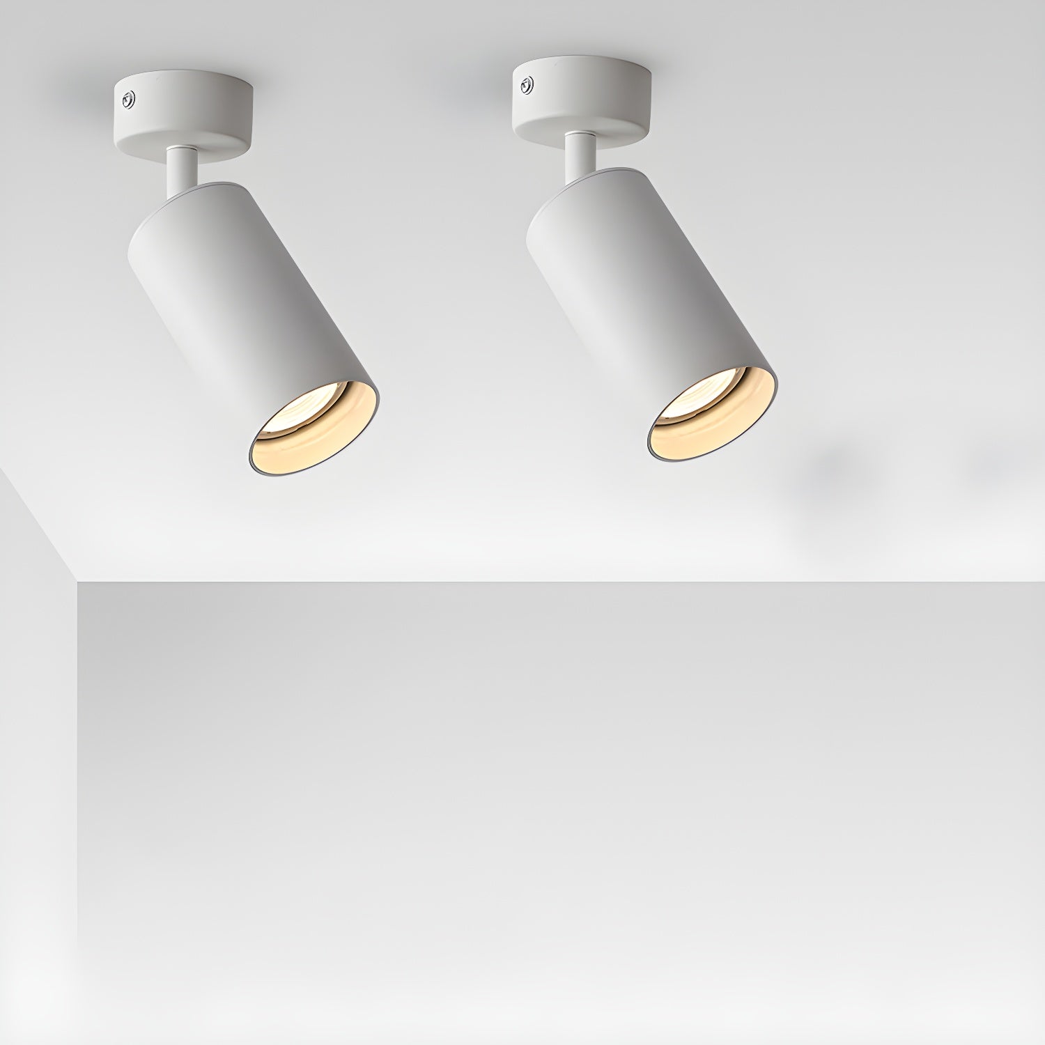 Alzo Spotlight Ceiling Light