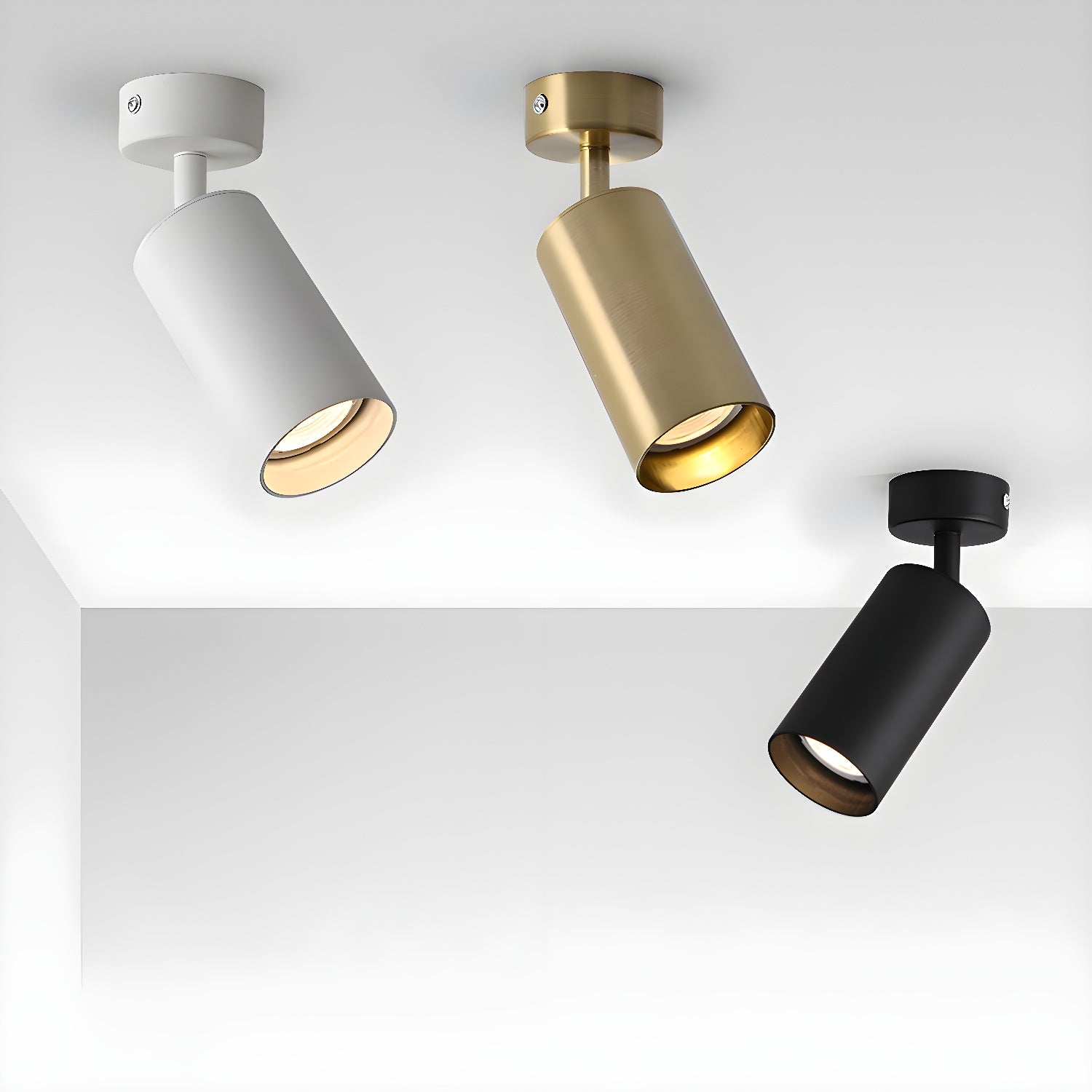 Alzo Spotlight Ceiling Light