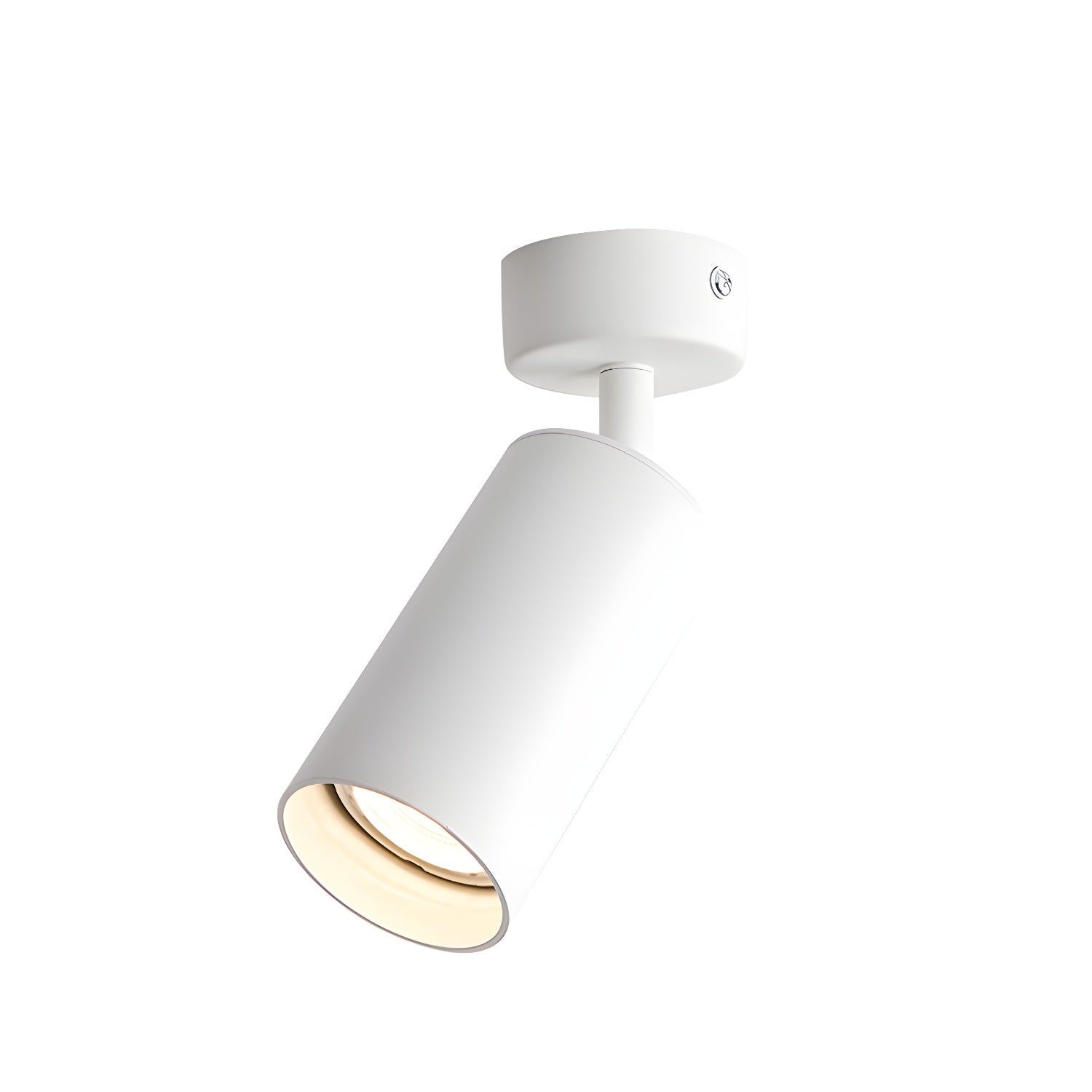 Alzo Spotlight Ceiling Light