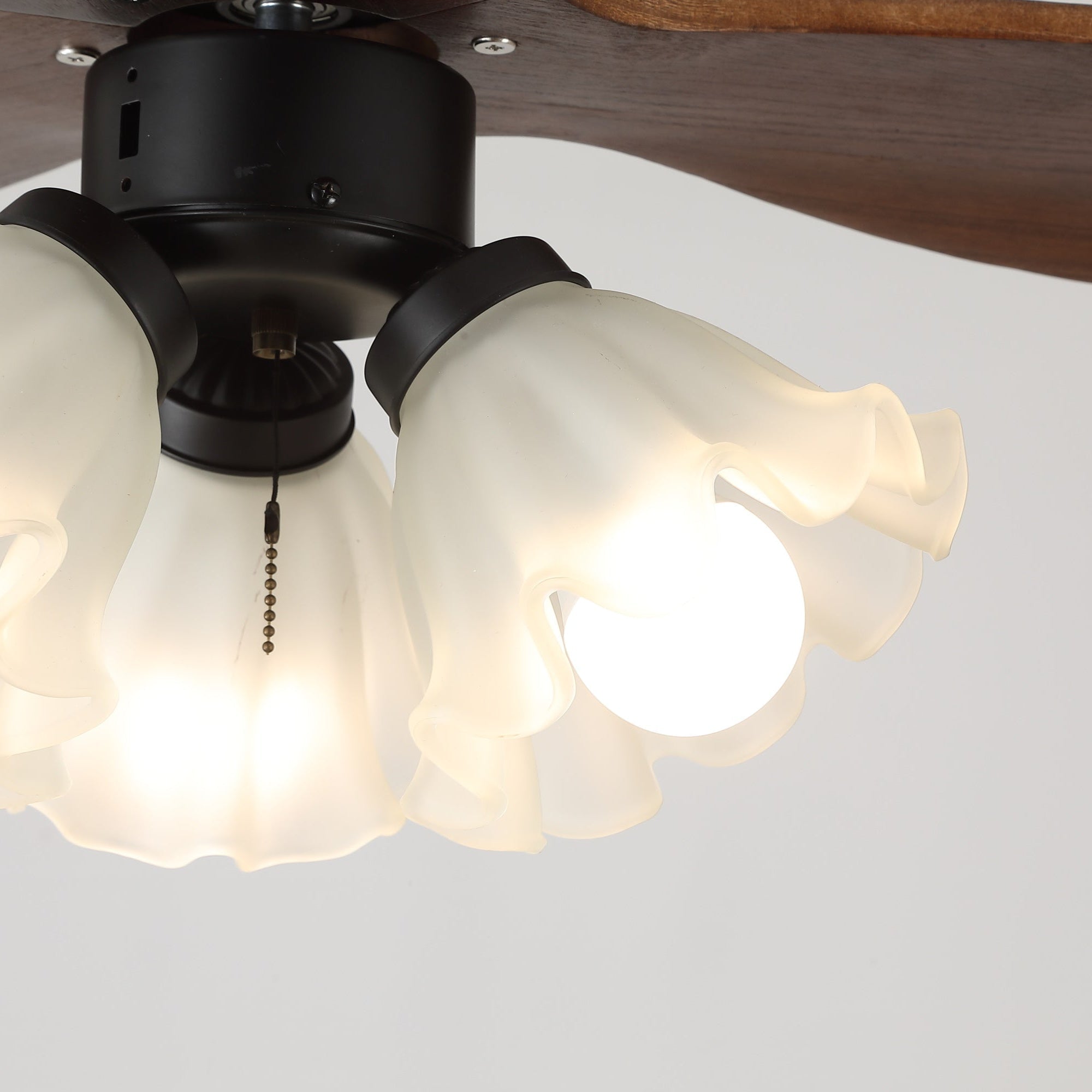 Tolsa Ceiling Fan