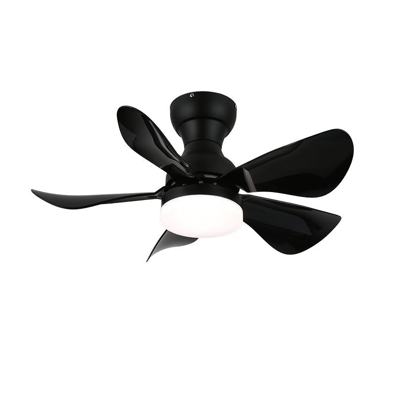 Lyrela LED Ceiling Fan