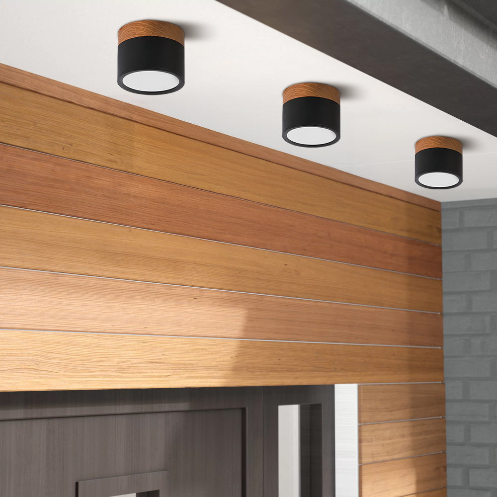 Cylinder Small Ceiling Light