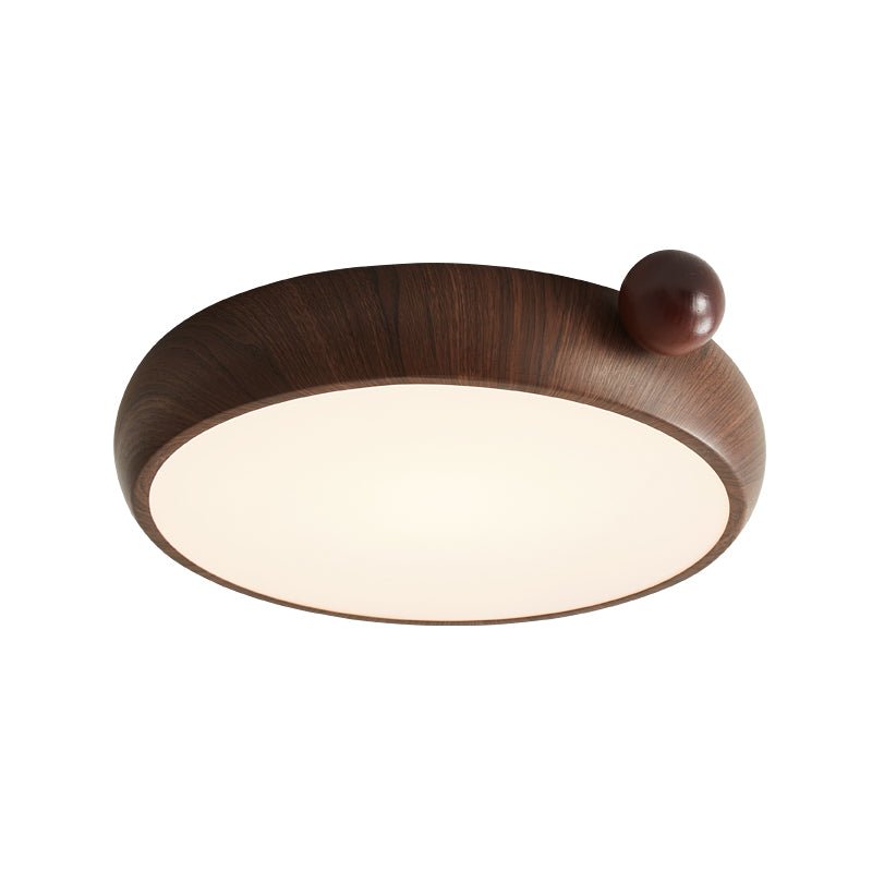 Lecaniva Ceiling Light