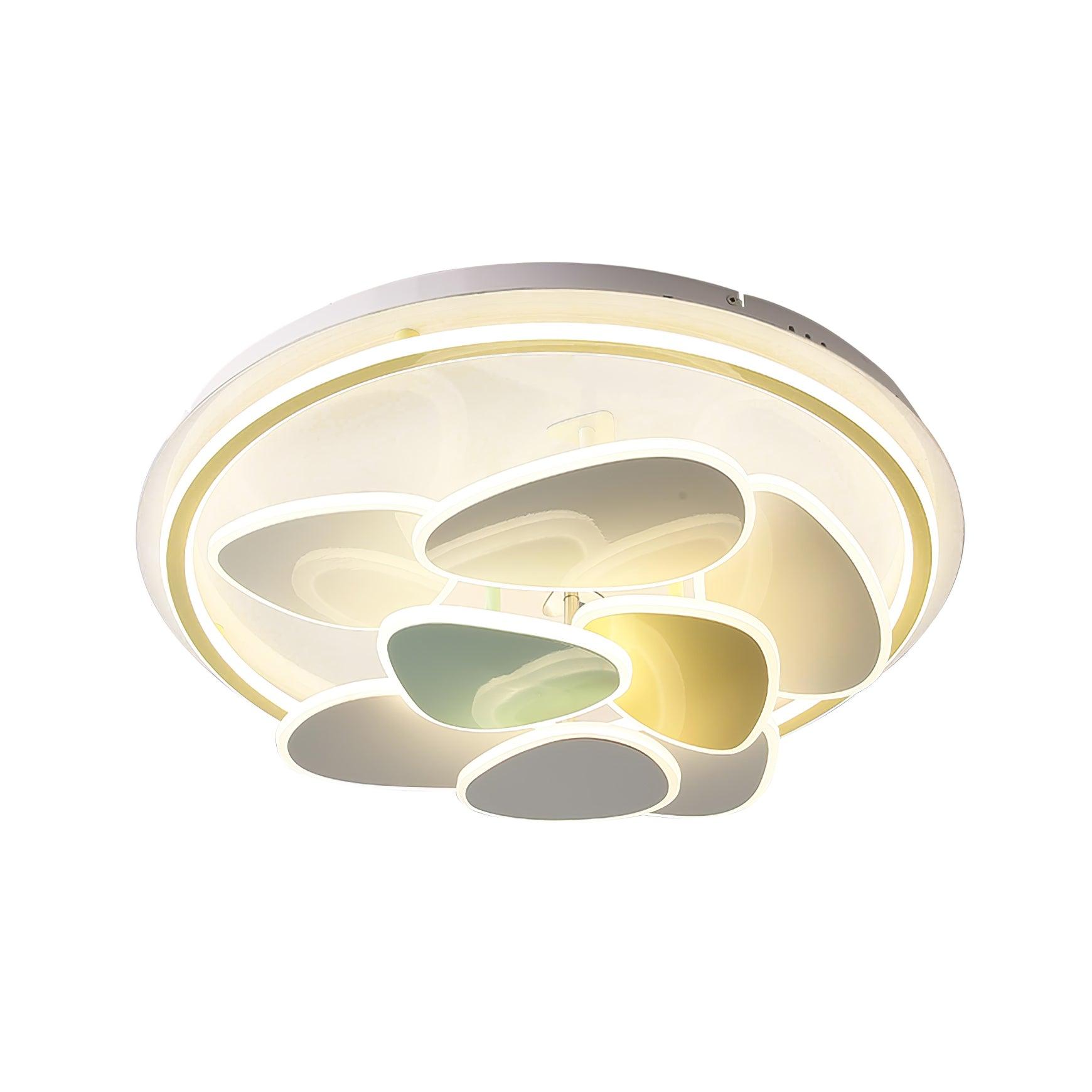 Colean Ceiling Light