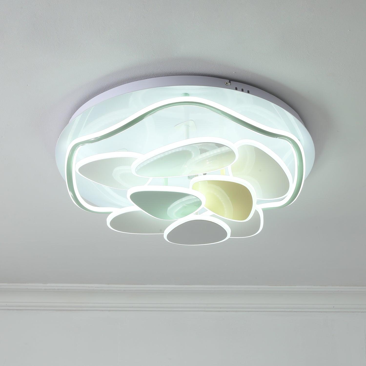 Colean Ceiling Light