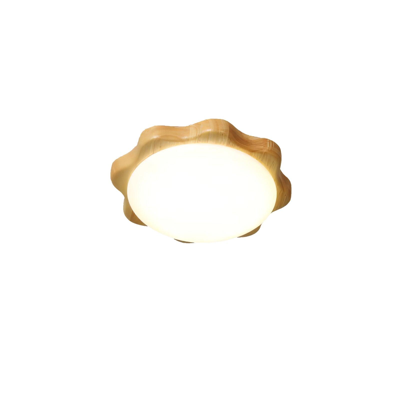 Domesc Ceiling Light
