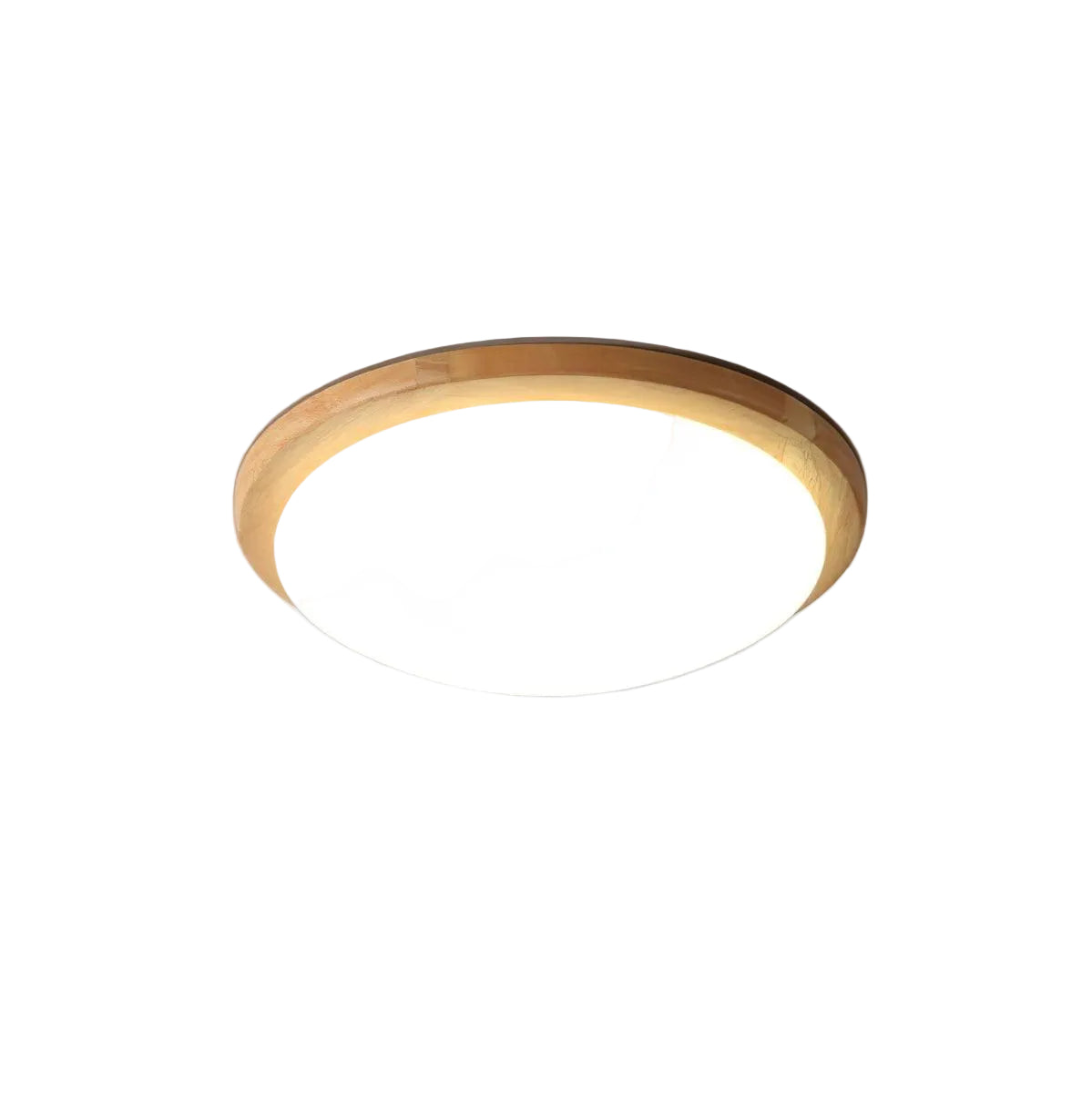 Domesc Ceiling Light