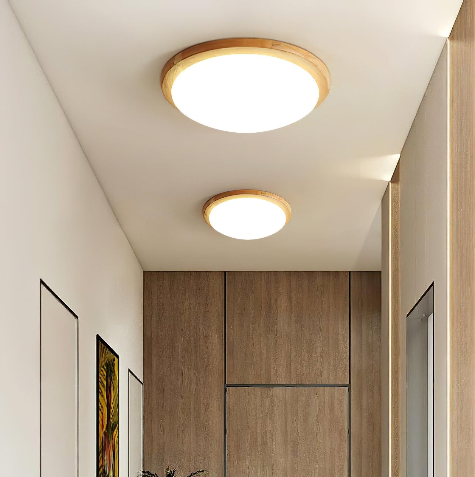 Domesc Ceiling Light