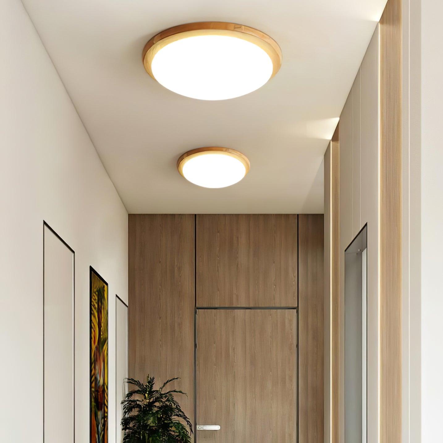 Domesc Ceiling Light