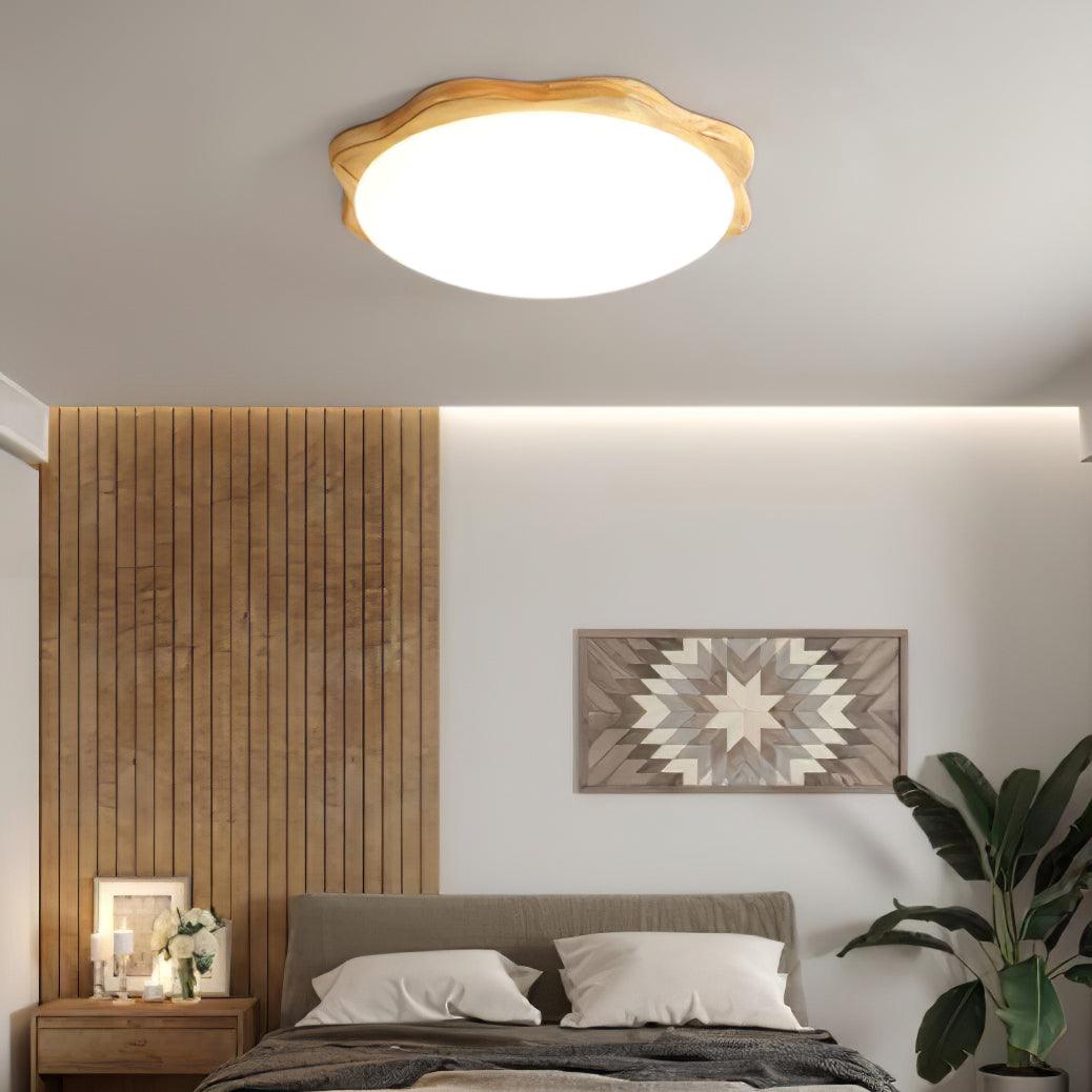 Domesc Ceiling Light