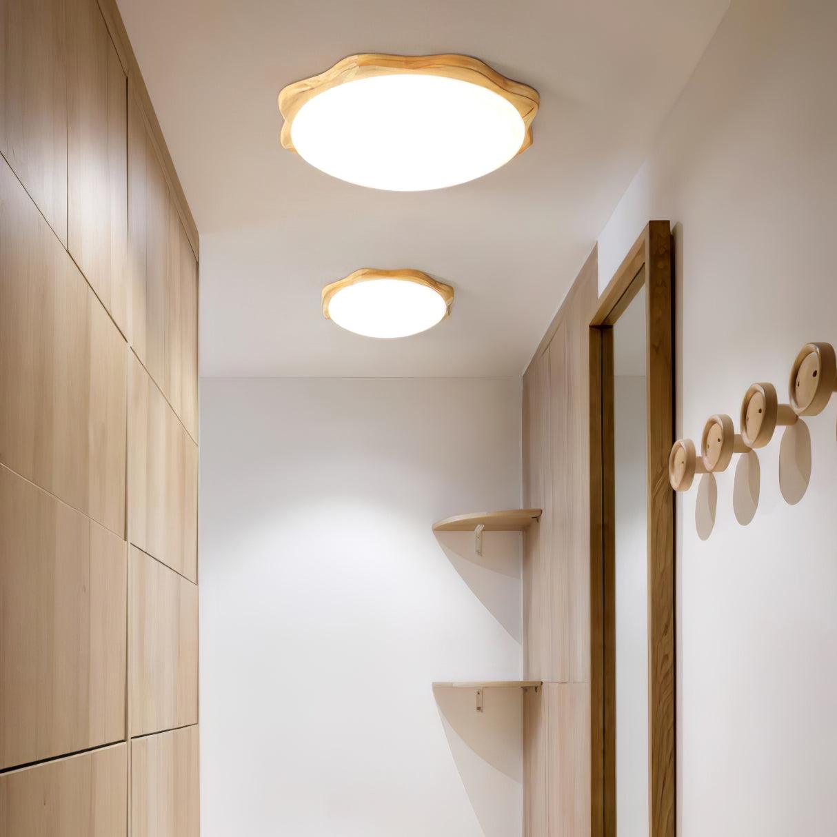 Domesc Ceiling Light