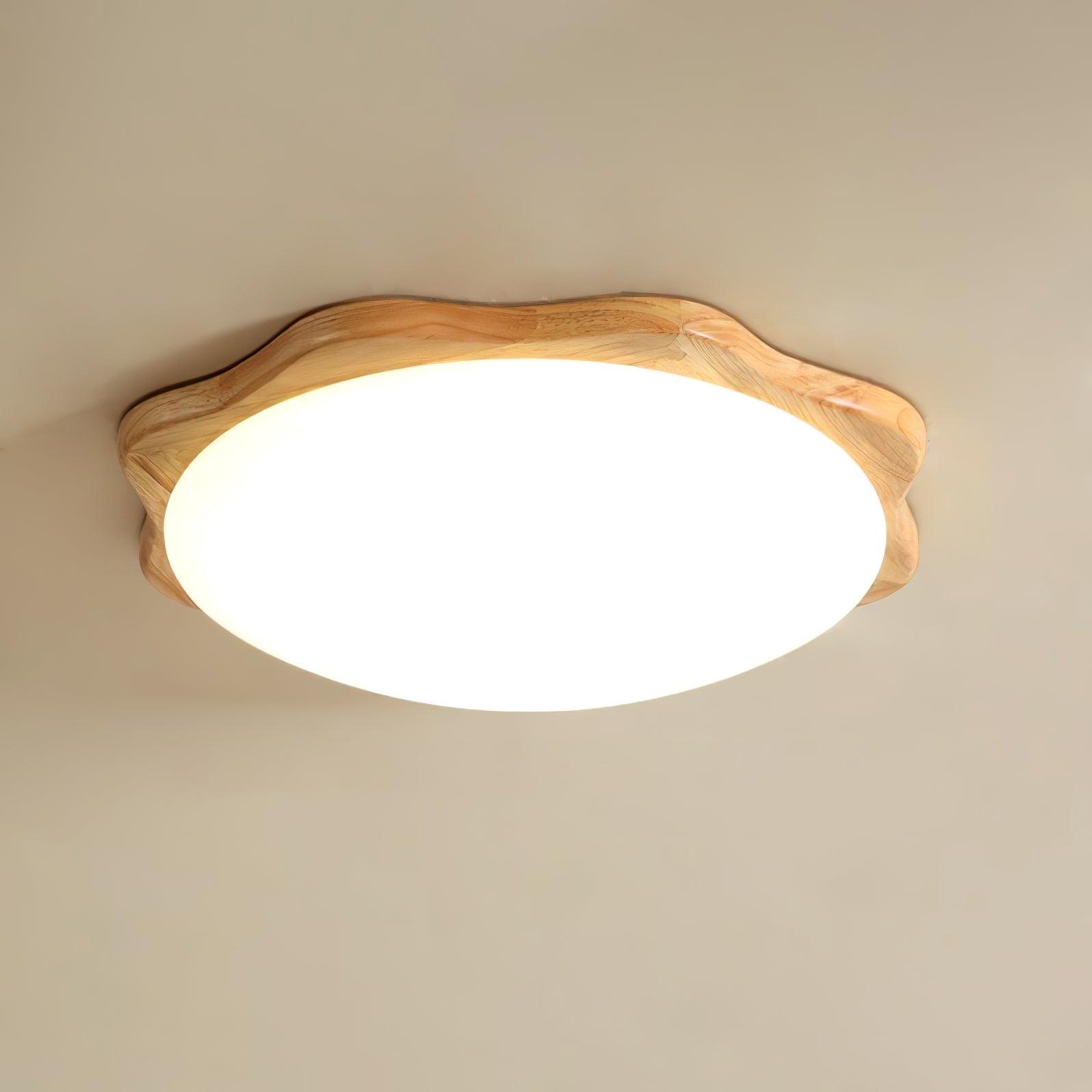 Domesc Ceiling Light