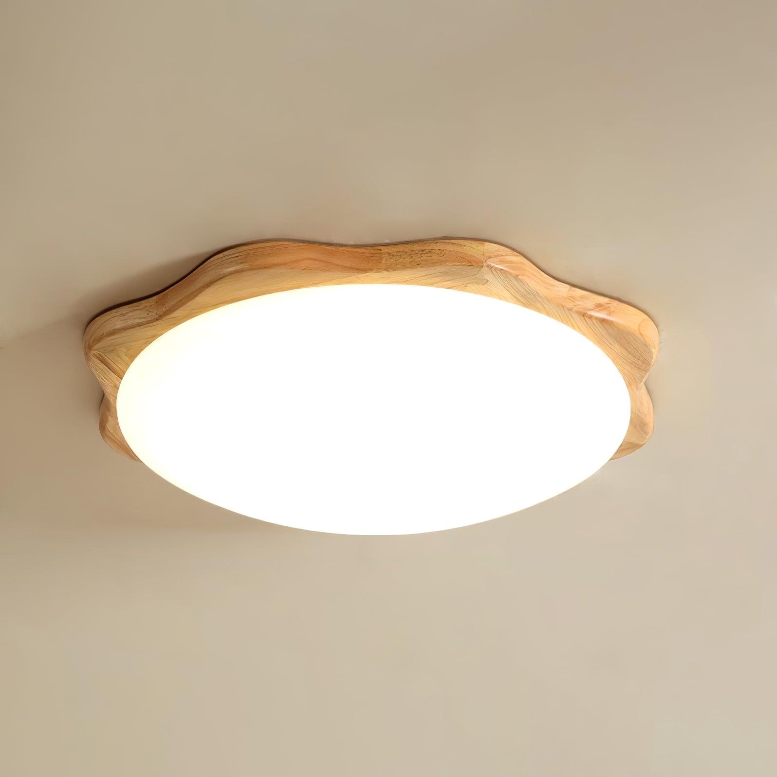 Domesc Ceiling Light