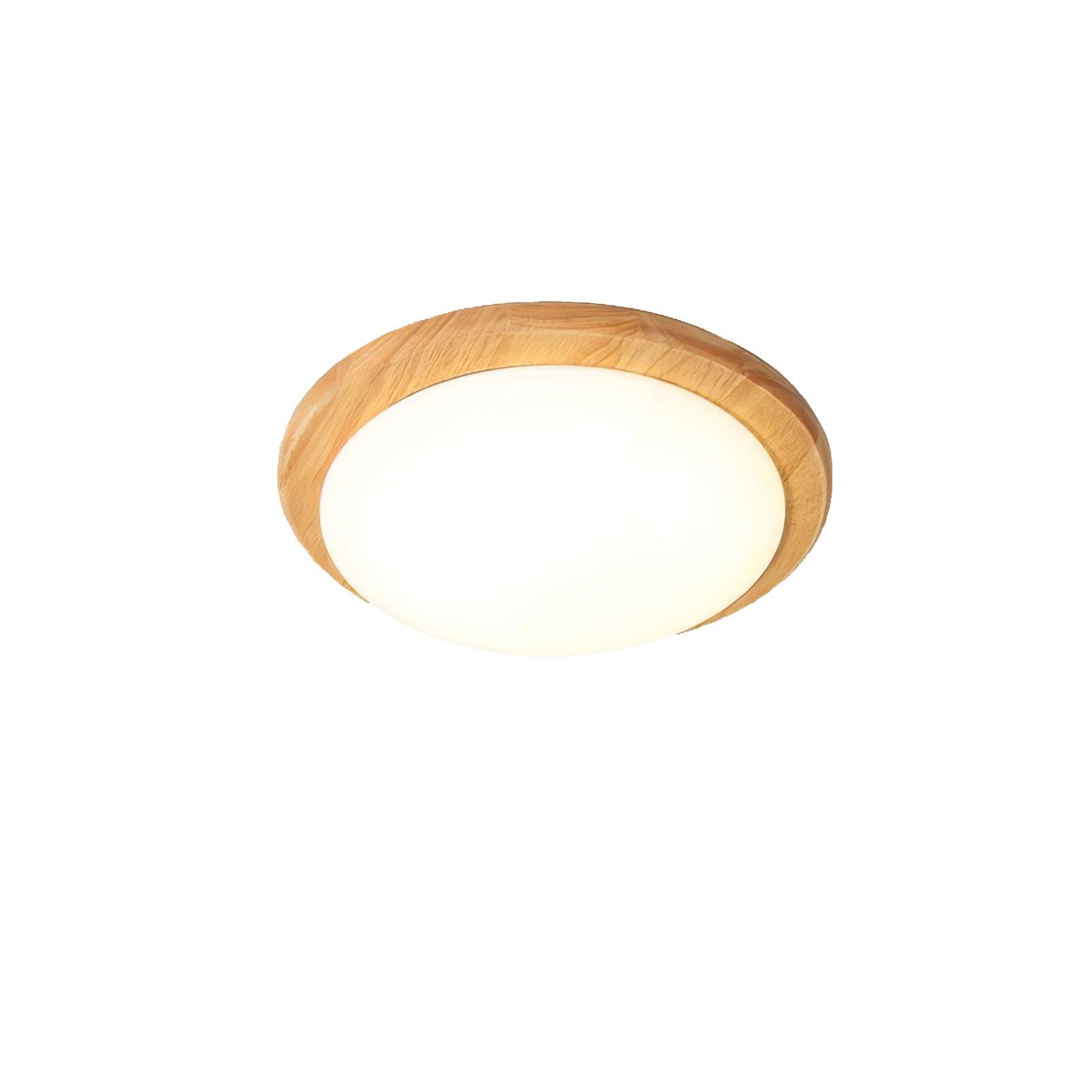 Domesc Ceiling Light